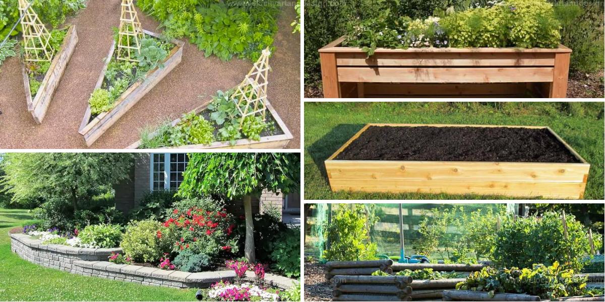 Best Unique Raised Garden Bed Designs