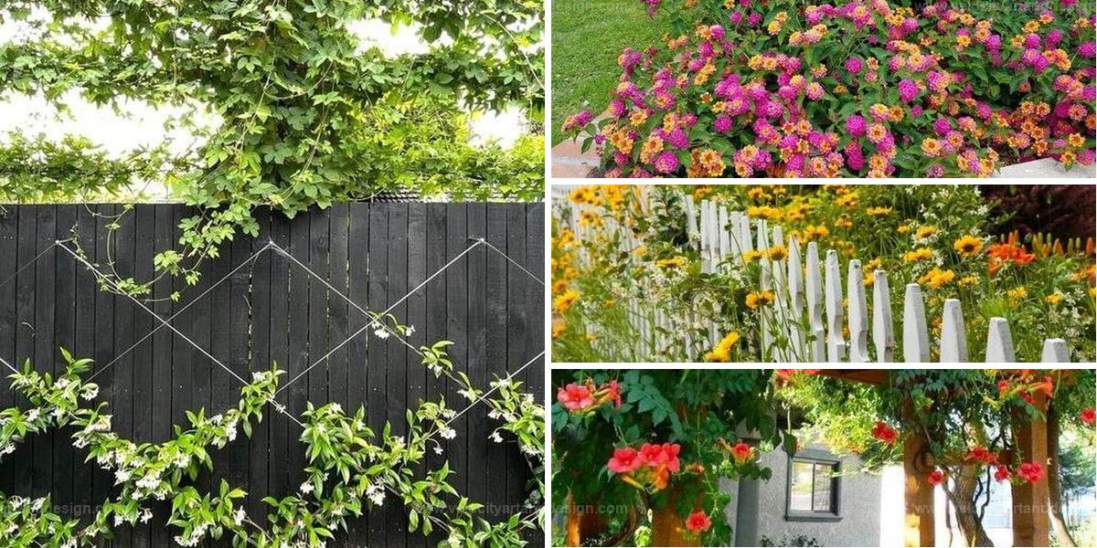 Best Garden Fence Ideas