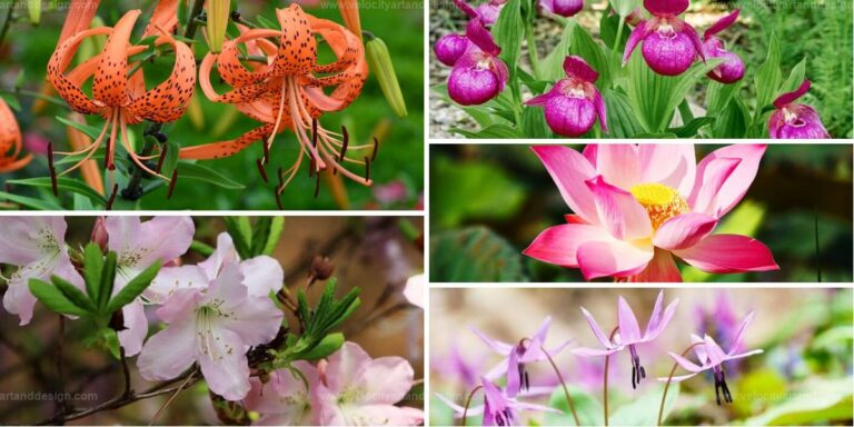 Best Russian Flowers for Vibrant Landscapes