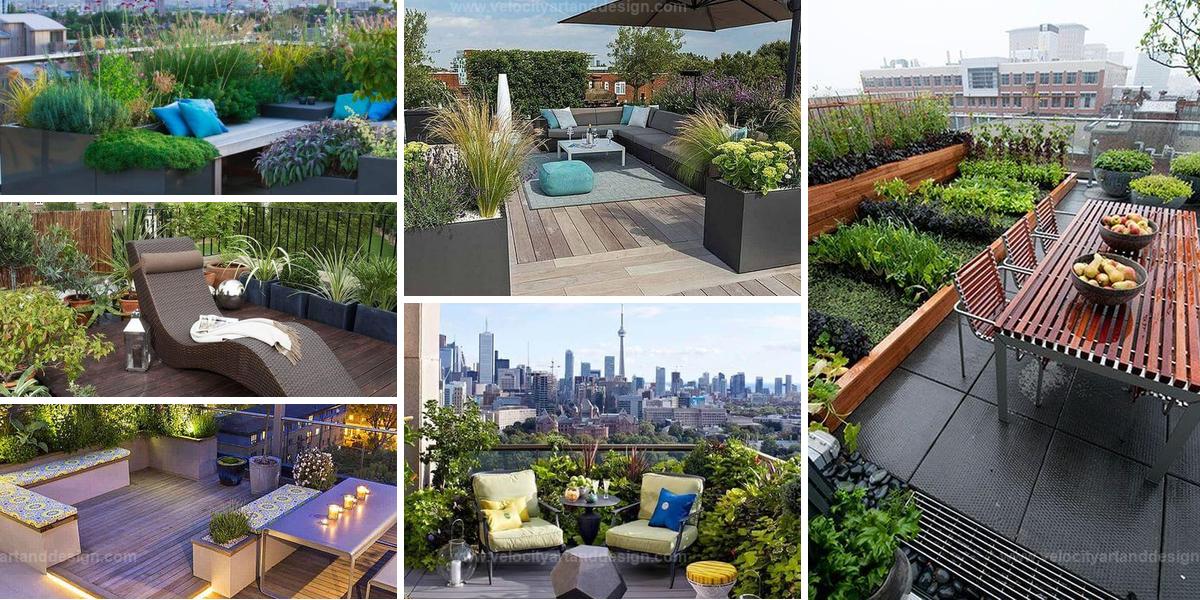 Best Roof Landscaping Ideas