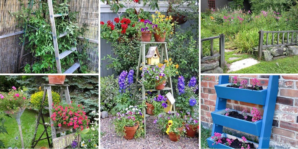 Best Garden Projects With Old Ladders