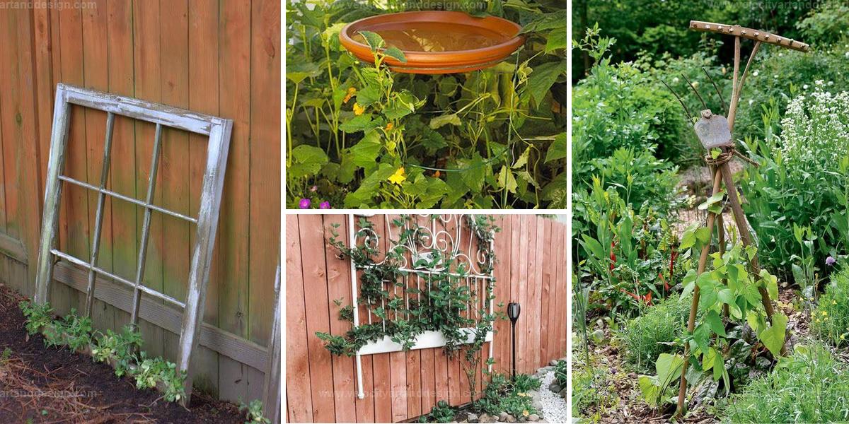 Best Upcycled Growing Support Ideas