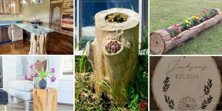 Top DIY Tree Stump Projects