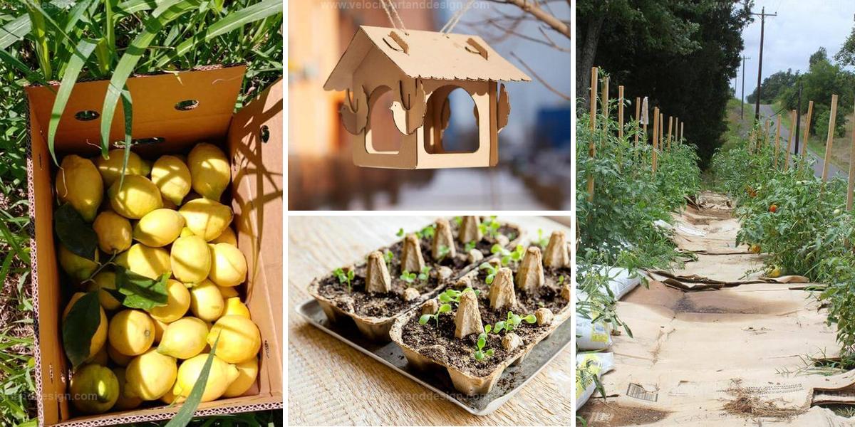 Top Cardboard DIYs for Gardens