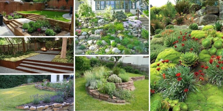 Top Hillside Landscapings