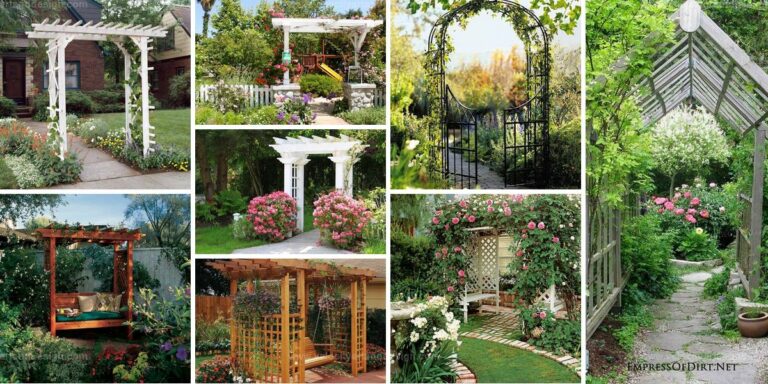 Top Budget-Friendly Garden Arbors