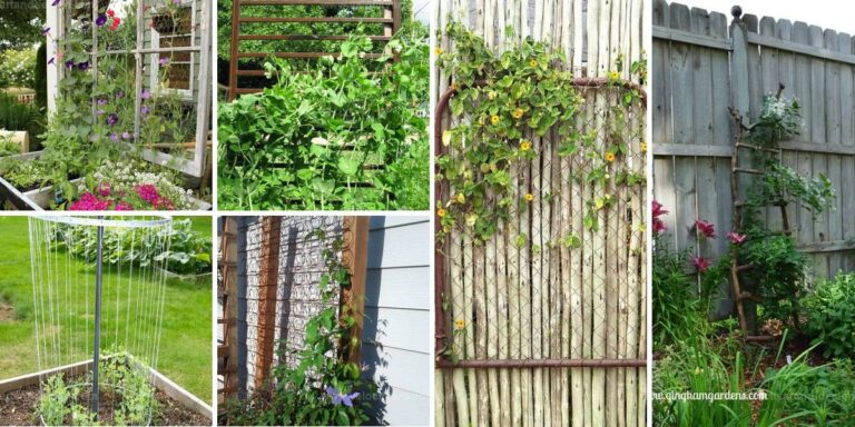 Best DIY Recycled Trellis Ideas