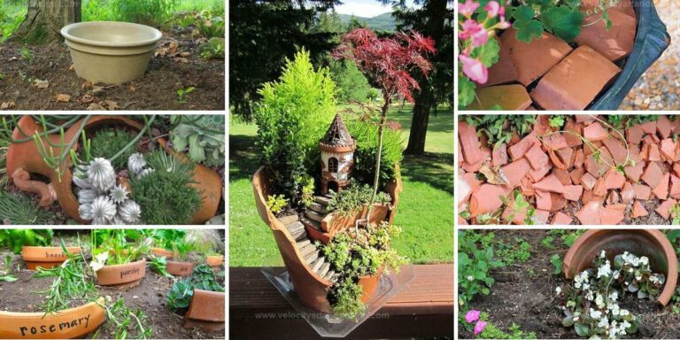 Best Broken Pot Projects