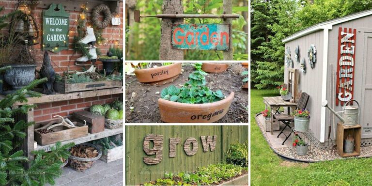 Adorable Garden Sign Ideas