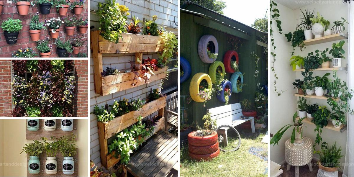 Top Upcycled Wall Garden Designs