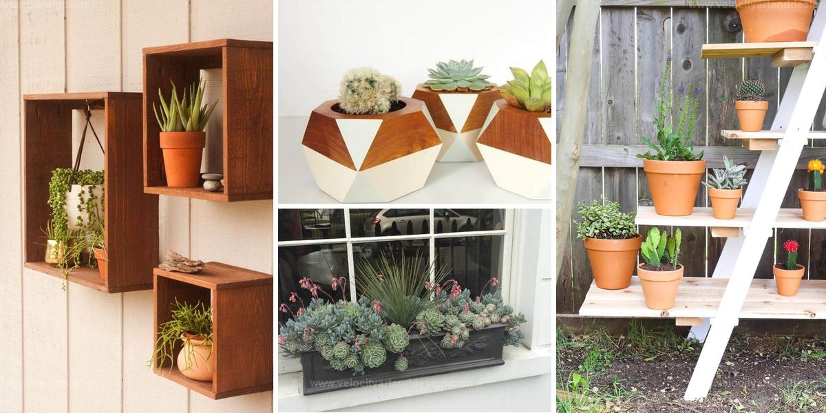 Top Wooden Succulent Plant Ideas