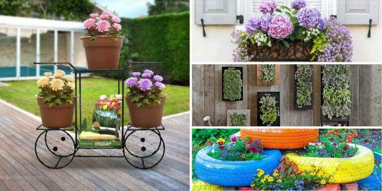 Best DIY Vertical Gardens