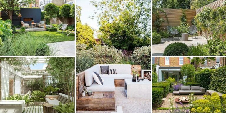 Best Nature-Inspired Landscaping Ideas