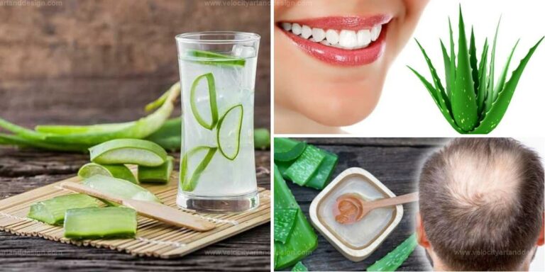 Best Benefits of Aloe Vera Proven by Science