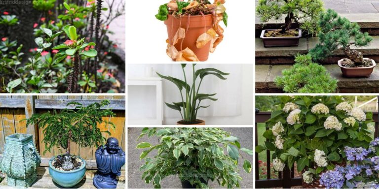 Best Plants to Avoid Indoors for Good Luck