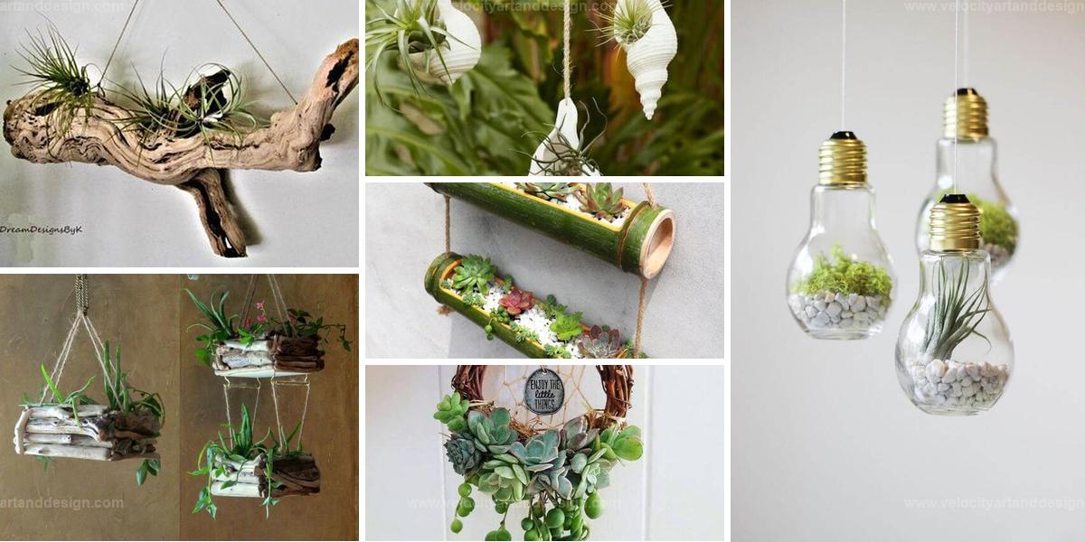 Top Creative Hanging Planters