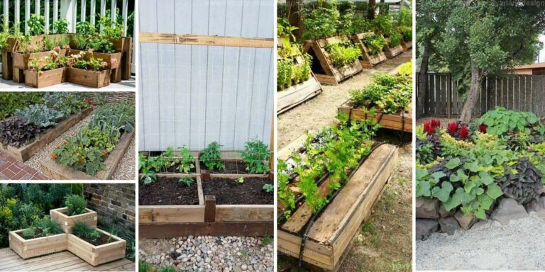 Top Raised Garden Bed Ideas