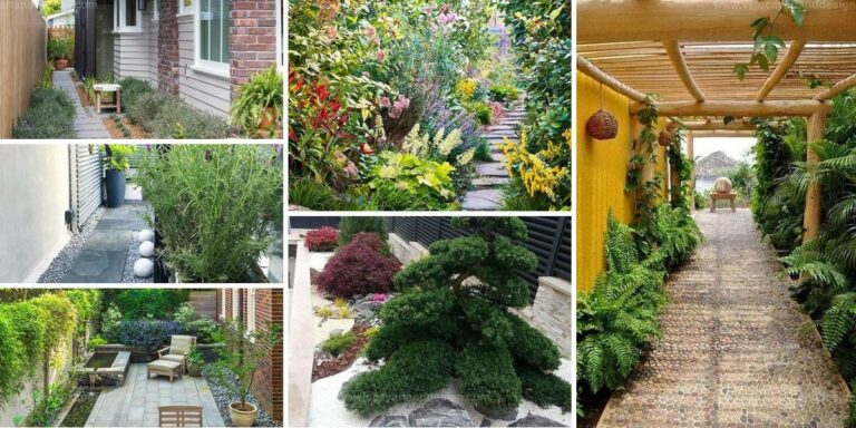 Best Side Yard Ideas