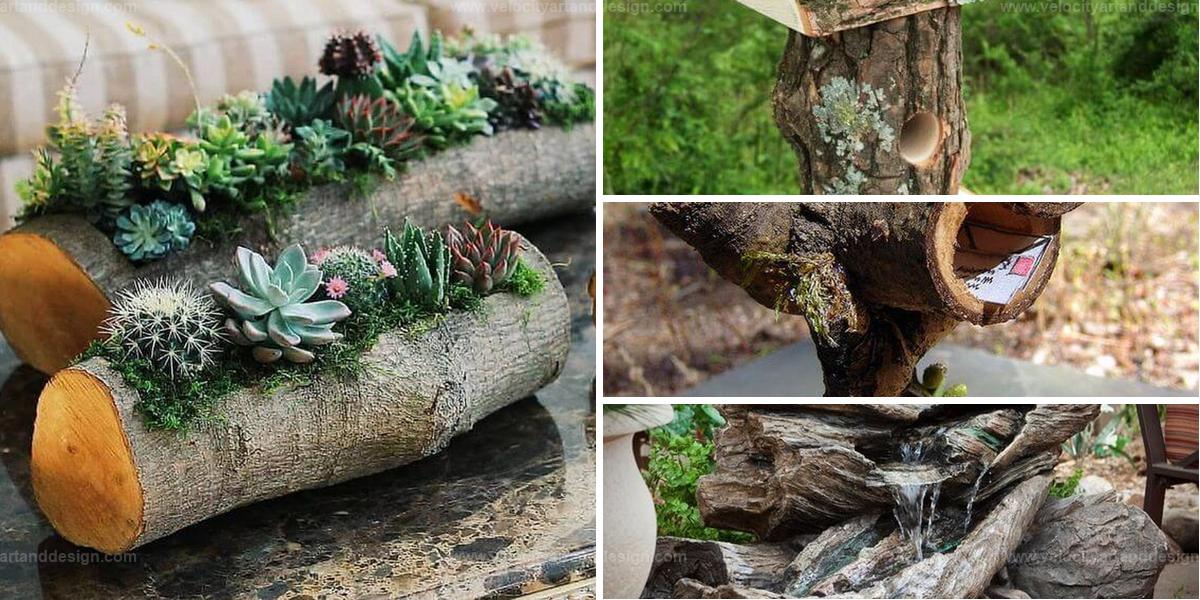 Top Log and Stump Garden Ideas