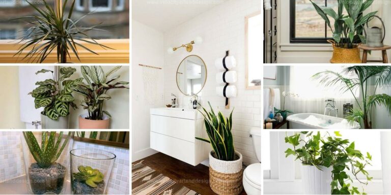 Top Bathroom Plants For Absorbing Moisture