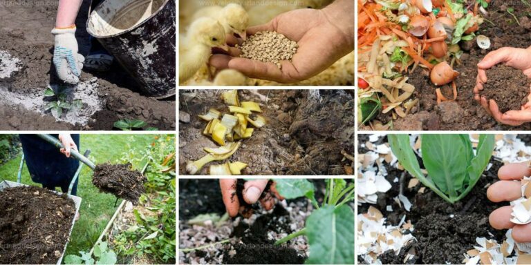 Best Natural Soil Nutrient Methods