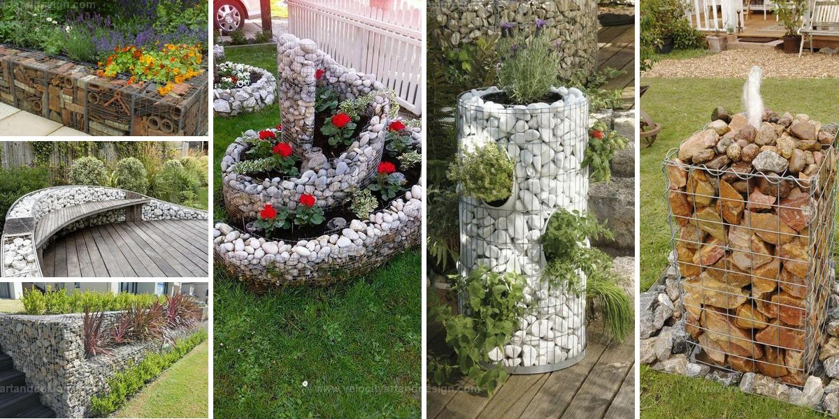 Best Gabion Ideas for Stylish Landscape