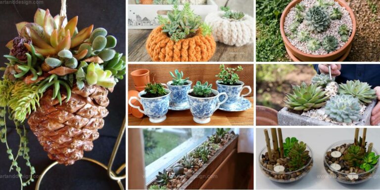 Top DIY Succulent Planters