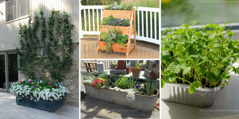 Top Ways to Boost Garden Yield