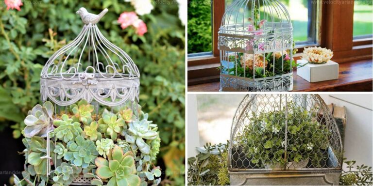 Best Flower-Filled Cage Ideas