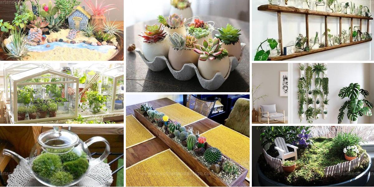 Top Small Indoor Gardens