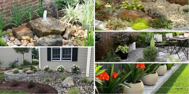 Best Low-Maintenance Gardens