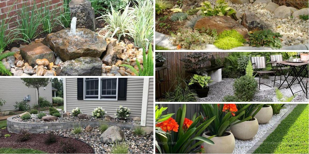 Best Low-Maintenance Gardens