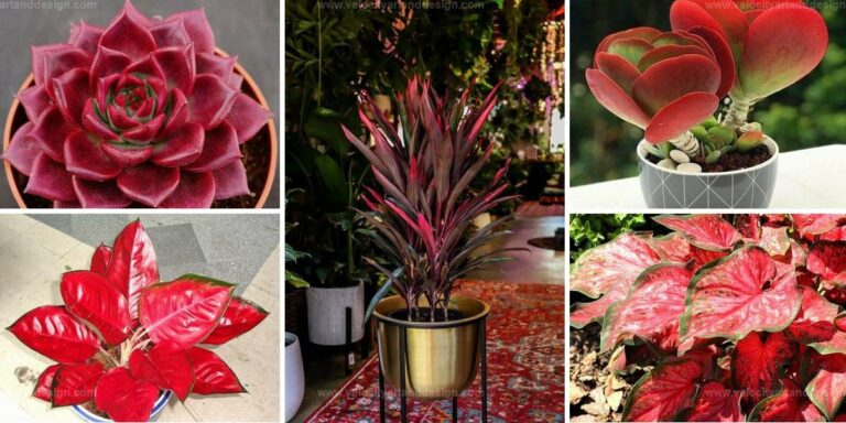 Best Red Plants for Dramatic Gardens