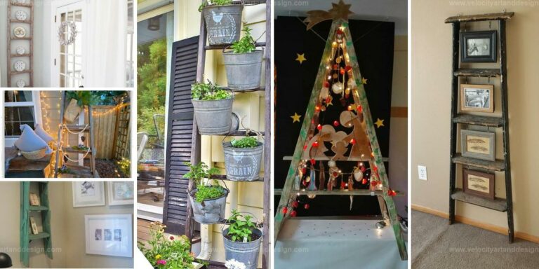 Best Decors with Vintage Ladders