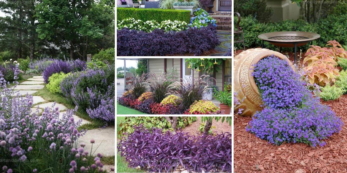 Top Purple Plant Landscaping Ideas