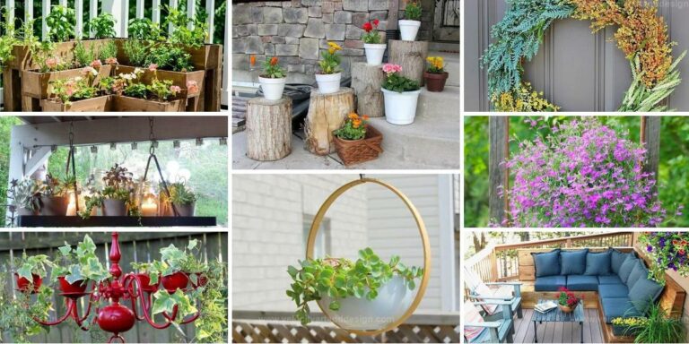 Best Porch And Patio Decor