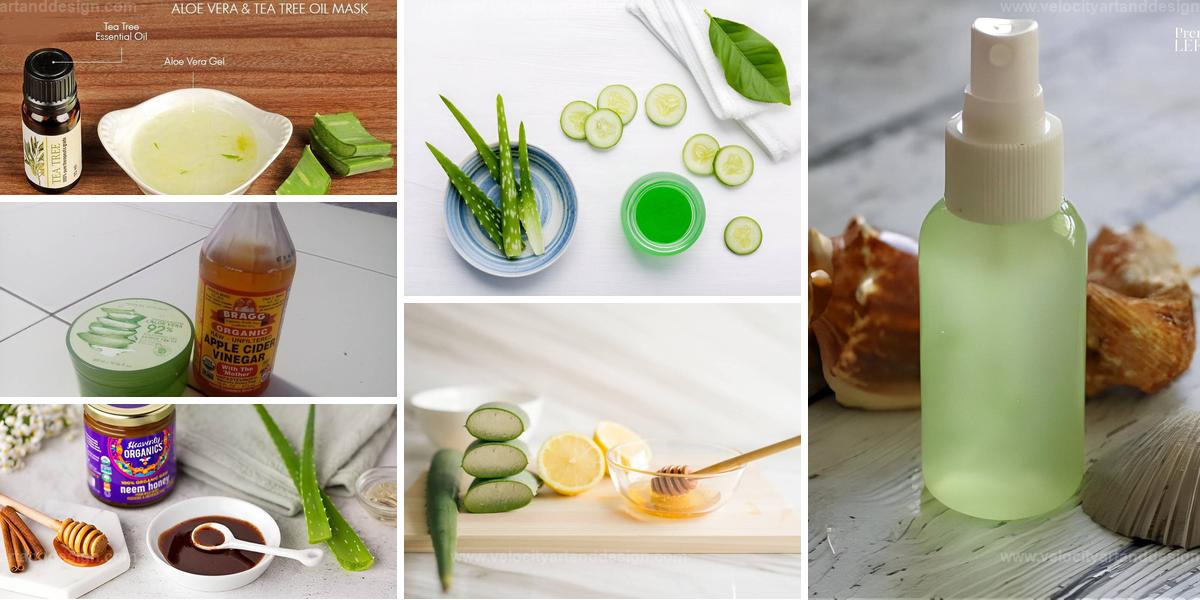 Top Aloe Vera Face Masks