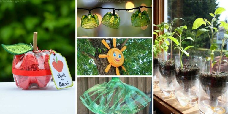 Best Crafts from Plastic Bottles