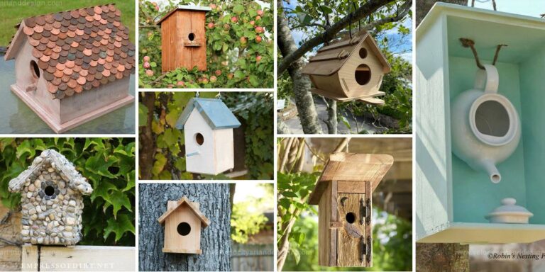 Best Birdhouse Ideas