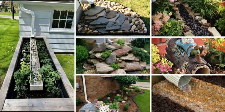 Top Landscaping Ideas for Downspouts