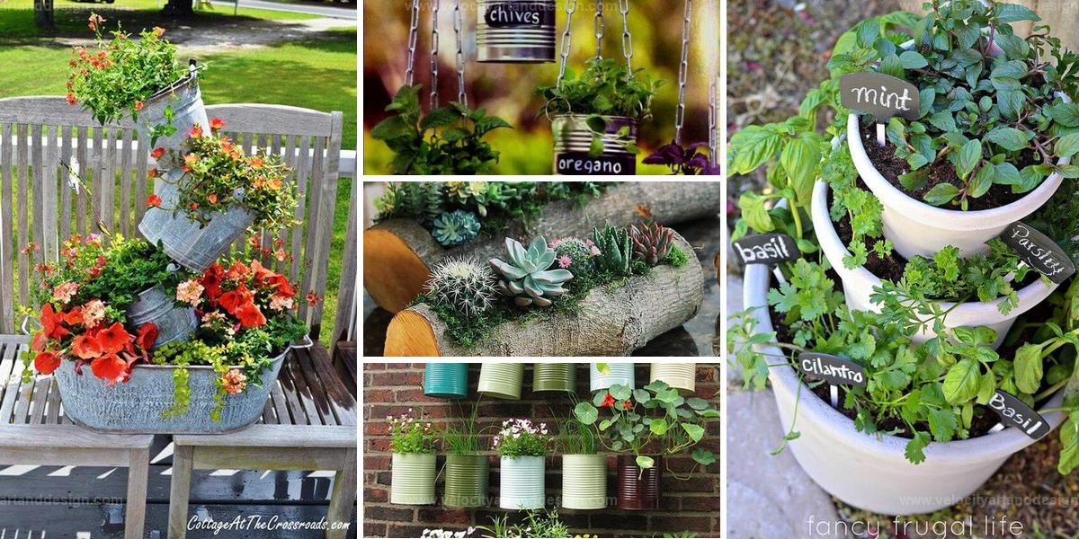 Top Tiny Garden Ideas