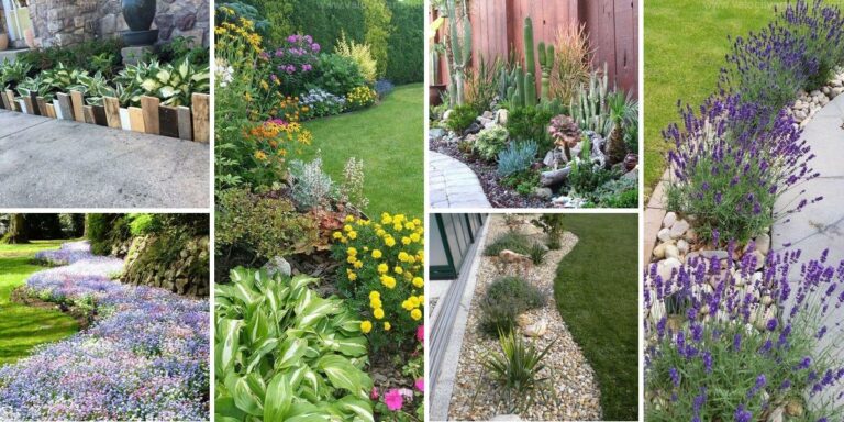 Best Garden Border Designs