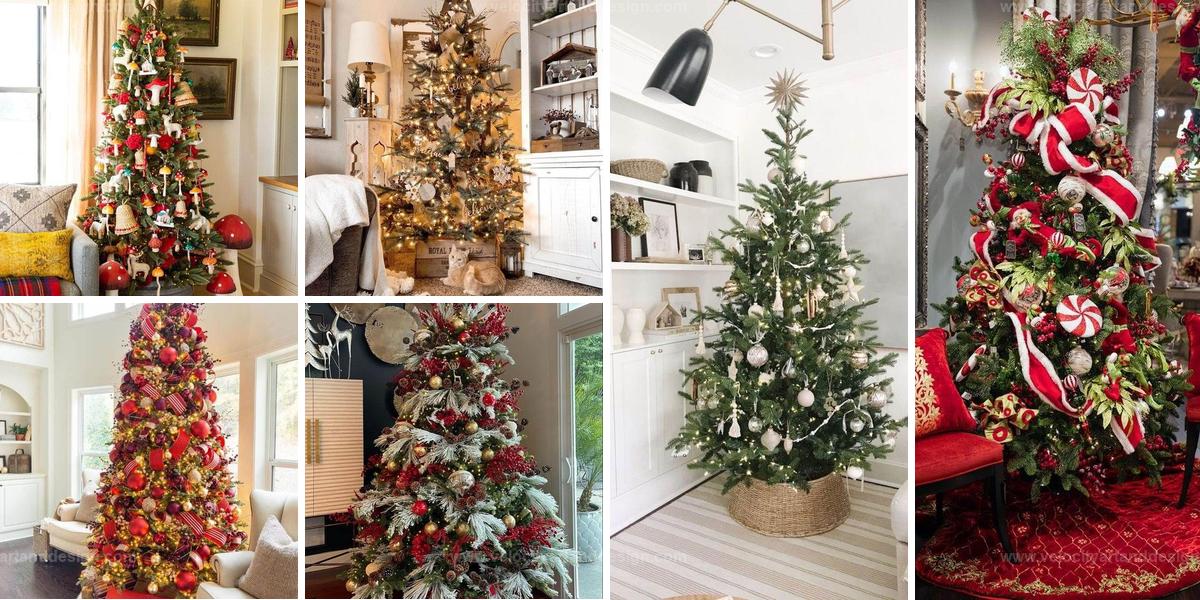 Best Christmas Tree Ideas