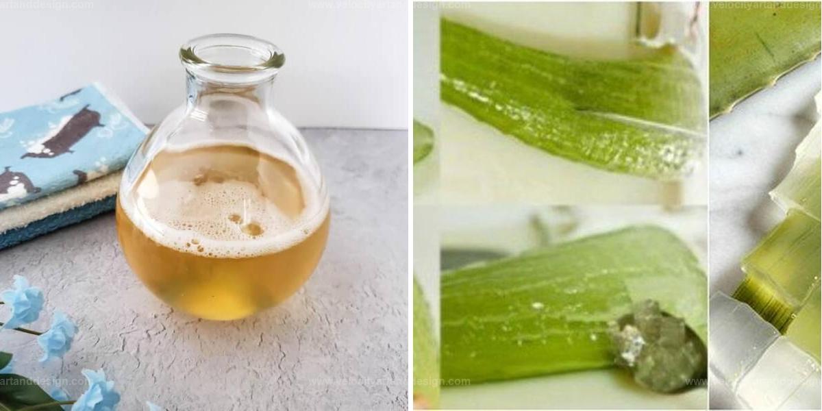 Best Steps For Aloe Vera Face Wash