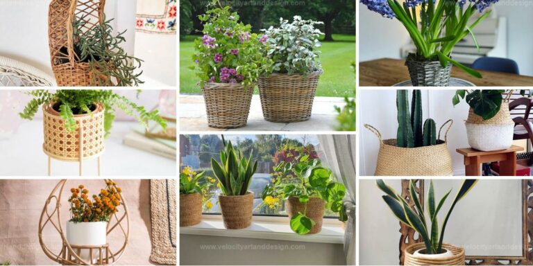 Top Rattan Planter Ideas