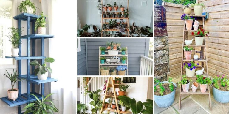 Top Ladder Planter Ideas