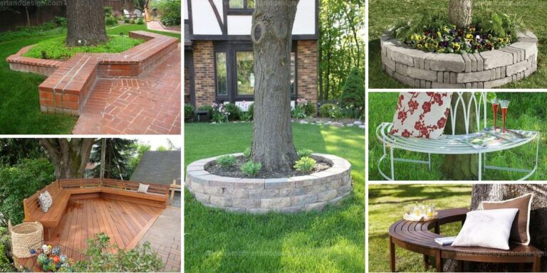 Best Garden Bench Ideas Around Trees