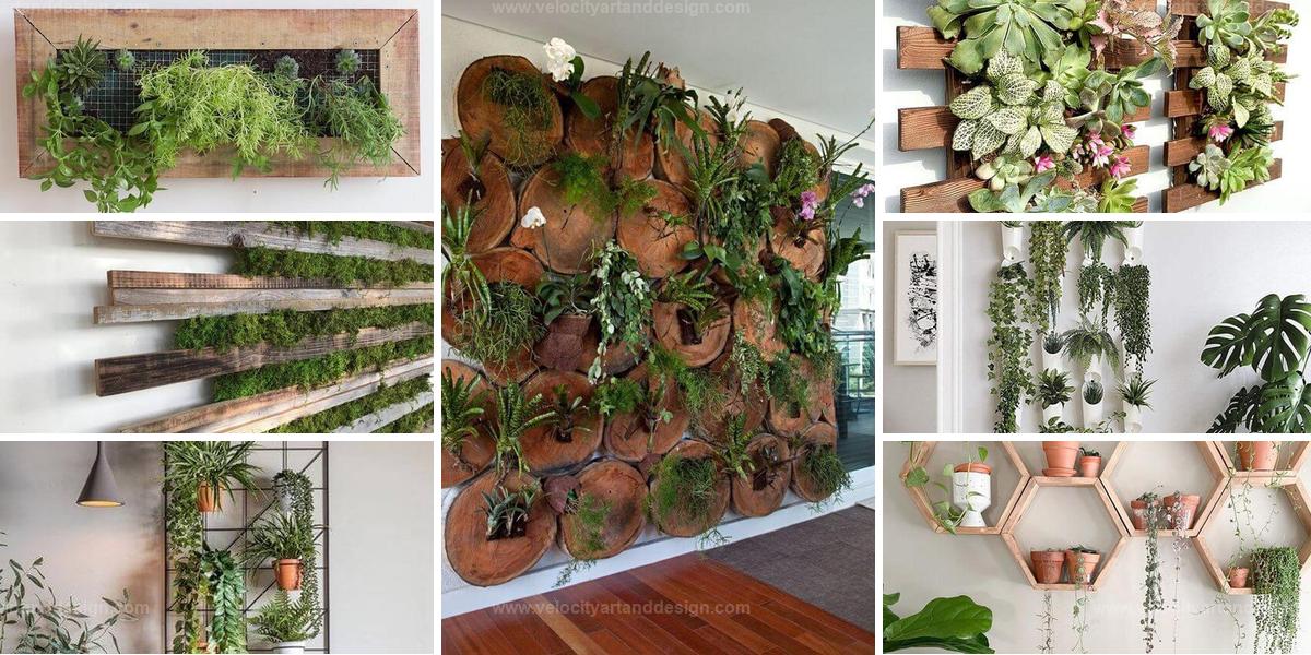 Top Indoor Green Wall Ideas