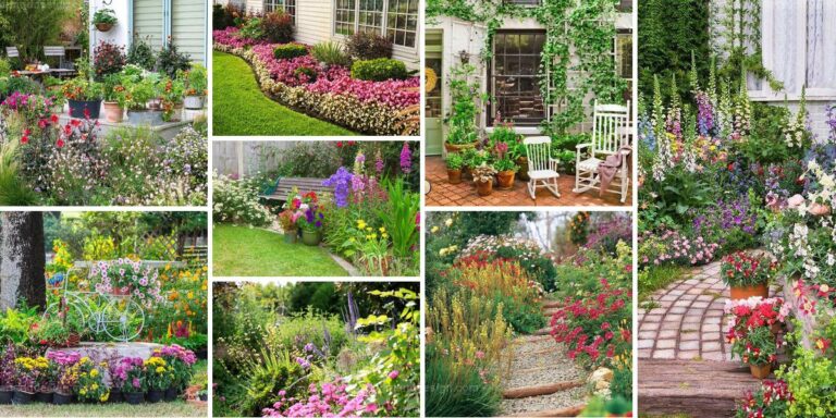 Top Spring Garden Inspiration Images