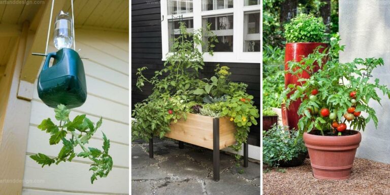 Top Tomato Planter Ideas